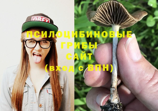 PSILOCYBIN Карталы