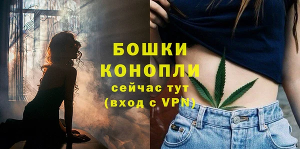 мдпв Навашино