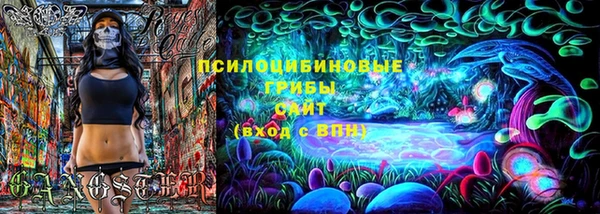 мдпв Навашино