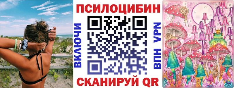 Псилоцибиновые грибы прущие грибы  Кола 